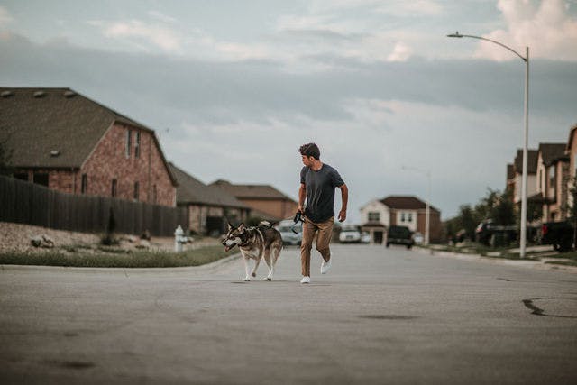 Dating photo with a dog, taken by The Match Artist