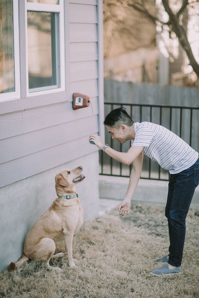 Dating photo with a dog, taken by The Match Artist