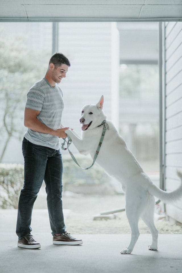 Dating photo with a dog, taken by The Match Artist