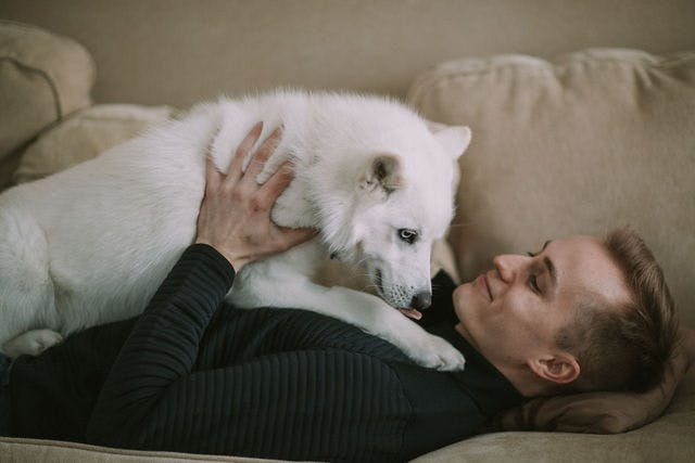 Dating photo with a dog, taken by The Match Artist