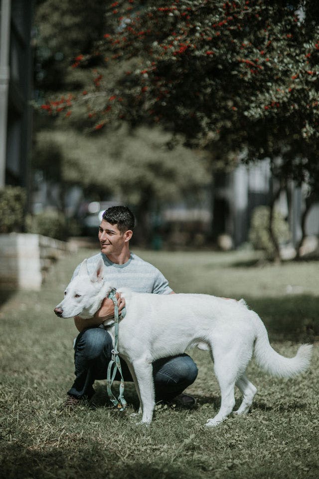 Dating photo with a dog, taken by The Match Artist