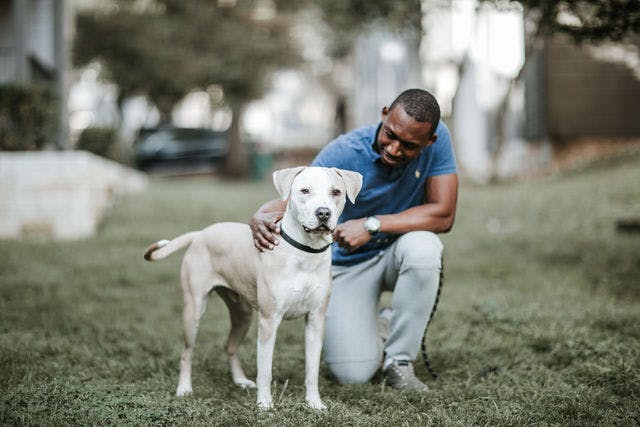 Dating photo with a dog, taken by The Match Artist