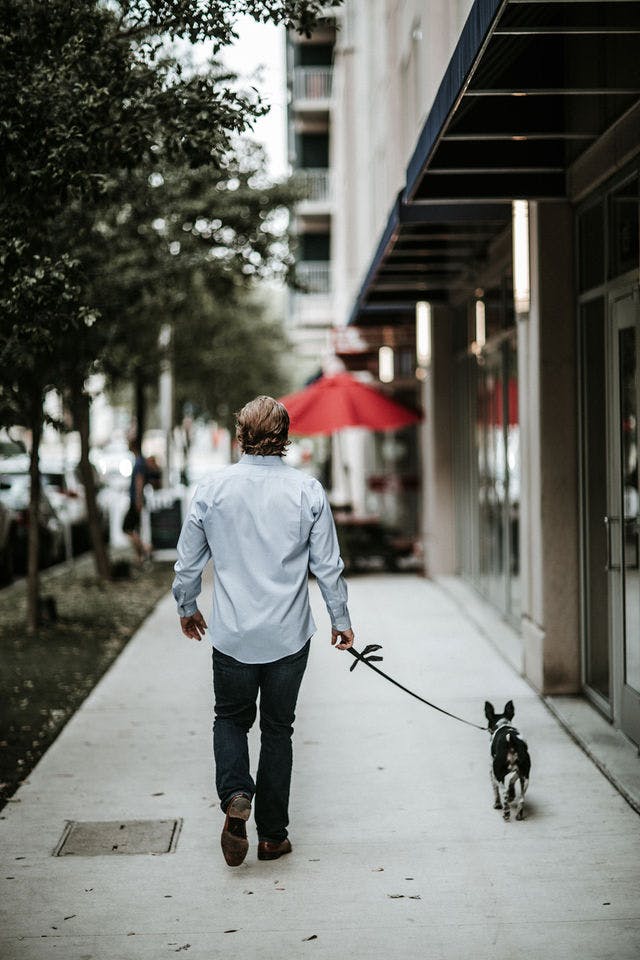 Dating photo with a dog, taken by The Match Artist