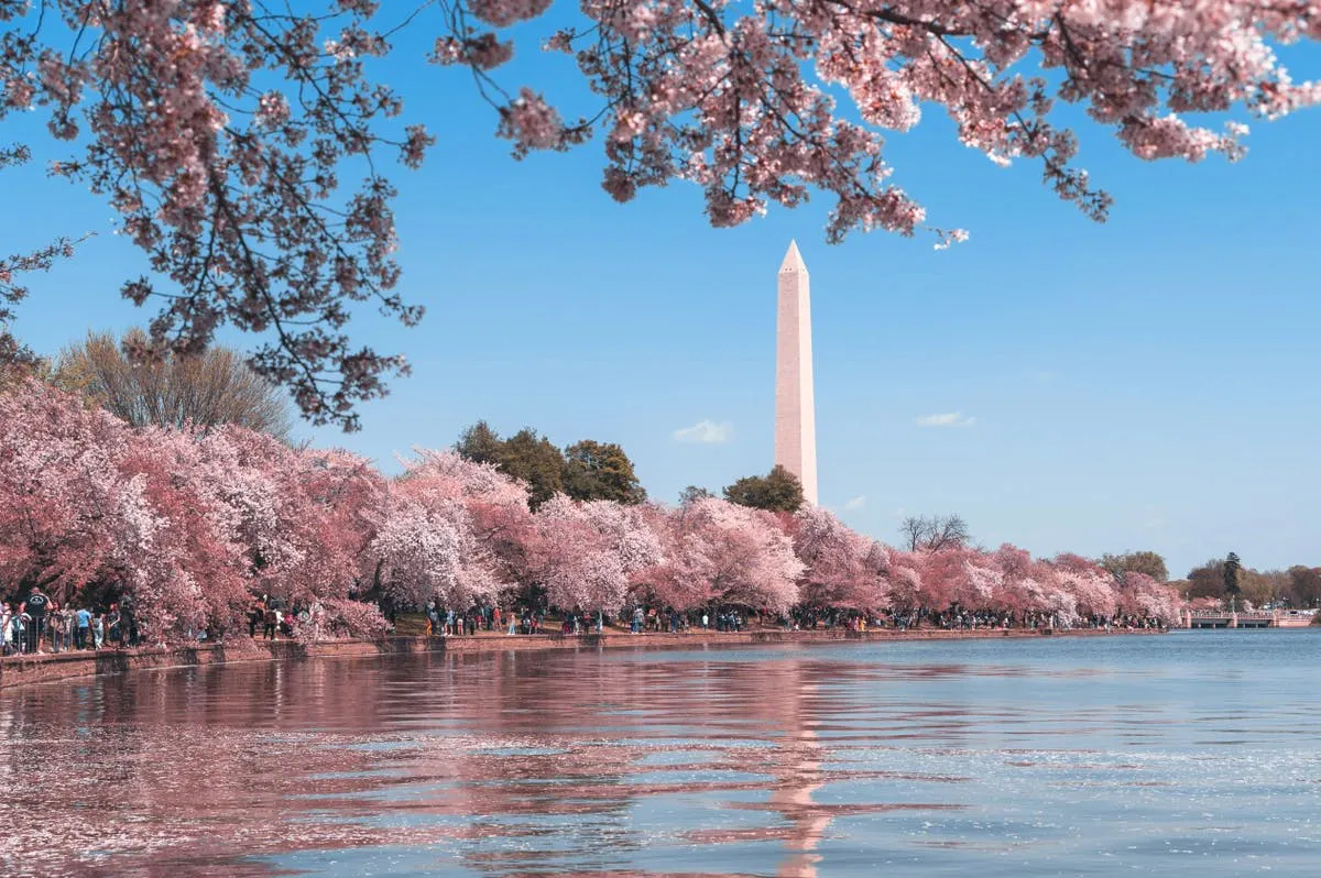 Washington dating photography